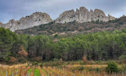 Dentelles Montmirail Dentelles Montmirail
