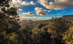 In der Ferne die Dentelles de Montmirail In der Ferne die Dentelles de Montmirail