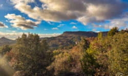 Traumhafte Blicke Traumhafte Blicke