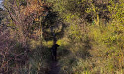 Ein toller Pfad Ein toller Pfad