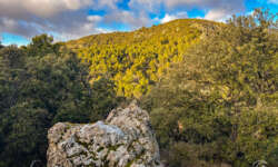 Felsen mit Blick Felsen mit Blick