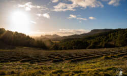 Über die Provence zu den Dentelles de Montmirail Über die Provence zu den Dentelles de Montmirail