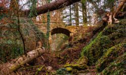 Die Brücke in der Schlucht Die Brücke in der Schlucht