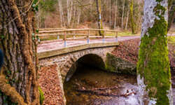 Im Katzenbachtal Im Katzenbachtal