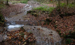 kleiner Wasserfall kleiner Wasserfall