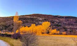 Blick ins Tal Blick ins Tal
