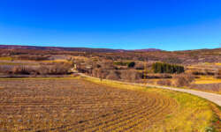 Lavendeltal bei Sault Lavendeltal bei Sault