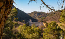 Blick auf Senanque Blick auf Senanque