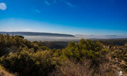 Frühmorgens in der Provence Frühmorgens in der Provence