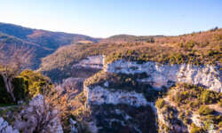 Blick in die Nesque Blick in die Nesque