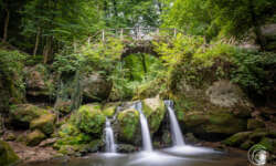 Der Schiessentümpel Der Schiessentümpel