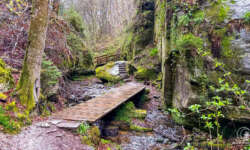 Enge Schluchten Enge Schluchten