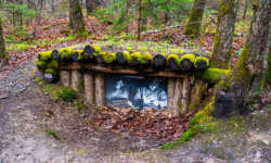 Alte Bunker Alte Bunker