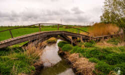 An der Alzette An der Alzette