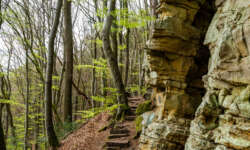 Noch mehr Felsen Noch mehr Felsen