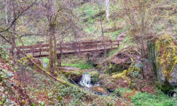 Herrliches Bachtal am Schloss Herrliches Bachtal am Schloss