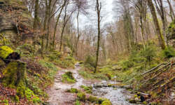 Weg und Bach Weg und Bach