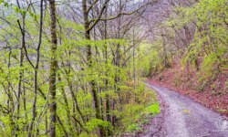 Einsame Wege Einsame Wege