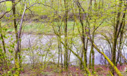 Der rauschende Fluss Der rauschende Fluss