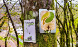 Wanderwege an der Our Wanderwege an der Our