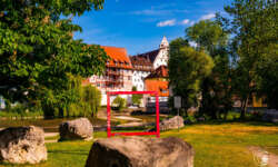 Auf der Donauinsel Auf der Donauinsel