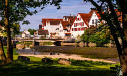 Blick auf die Skyline Blick auf die Skyline