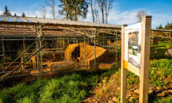 Infos zur Historie Infos zur Historie