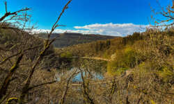 Pfad am See entlang Pfad am See entlang