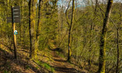 Wunderbare Pfade Wunderbare Pfade