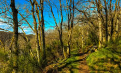 Am Hang entlang Am Hang entlang