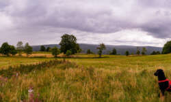 Weite im Erzgebirge Weite im Erzgebirge