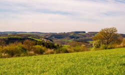 Irgendwo liegt der See Irgendwo liegt der See