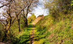 kleine Pfade kleine Pfade