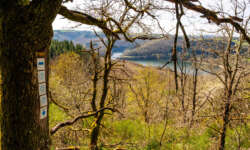 Herrlicher Seeblick Herrlicher Seeblick