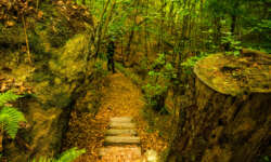 In die kleine Schlucht hinein In die kleine Schlucht hinein