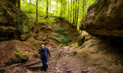 Bodenbachschlucht Bodenbachschlucht