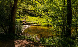 Auf dem Fuxi Pfad Auf dem Fuxi Pfad