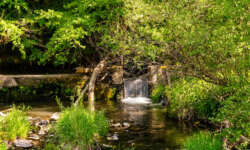 Wasserfall Wasserfall