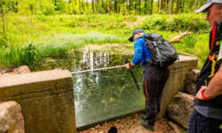 Wir gucken in den Teich Wir gucken in den Teich