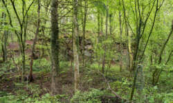 Ab ins Grüne Ab ins Grüne