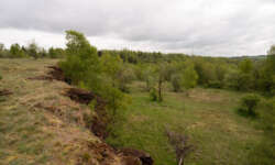 Grabungskante Grabungskante