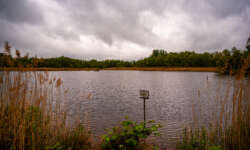 Blick über den See Blick über den See