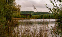 Entspannte Runde Entspannte Runde