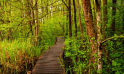 Noch mehr Stege Noch mehr Stege