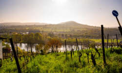 Blick auf Deutschland Blick auf Deutschland