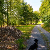 Entspannte Abschnitte Entspannte Abschnitte