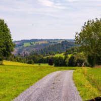 Zurück zur Burg Zurück zur Burg