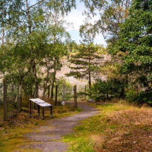 Der Weg zum Schieferbruch Der Weg zum Schieferbruch