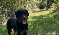Maxi auf der Spur der Quarkel Maxi auf der Spur der Quarkel