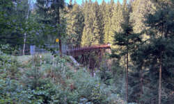 Blick von der Seite Blick von der Seite